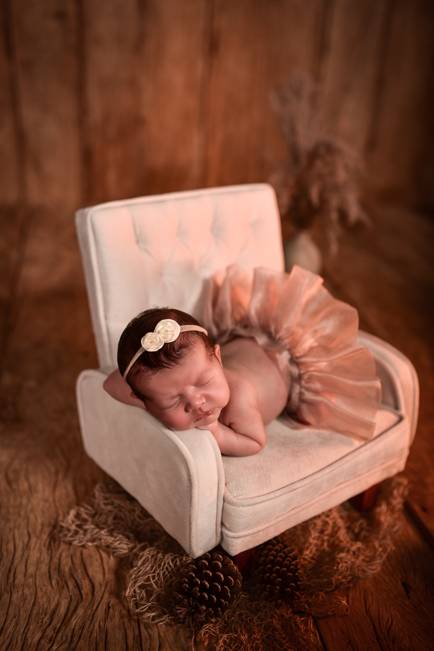 Ensaio de Recem nascido