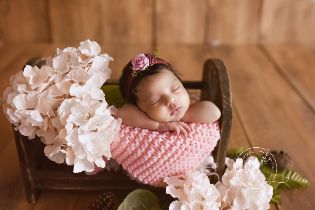 Book newborn de menina floral