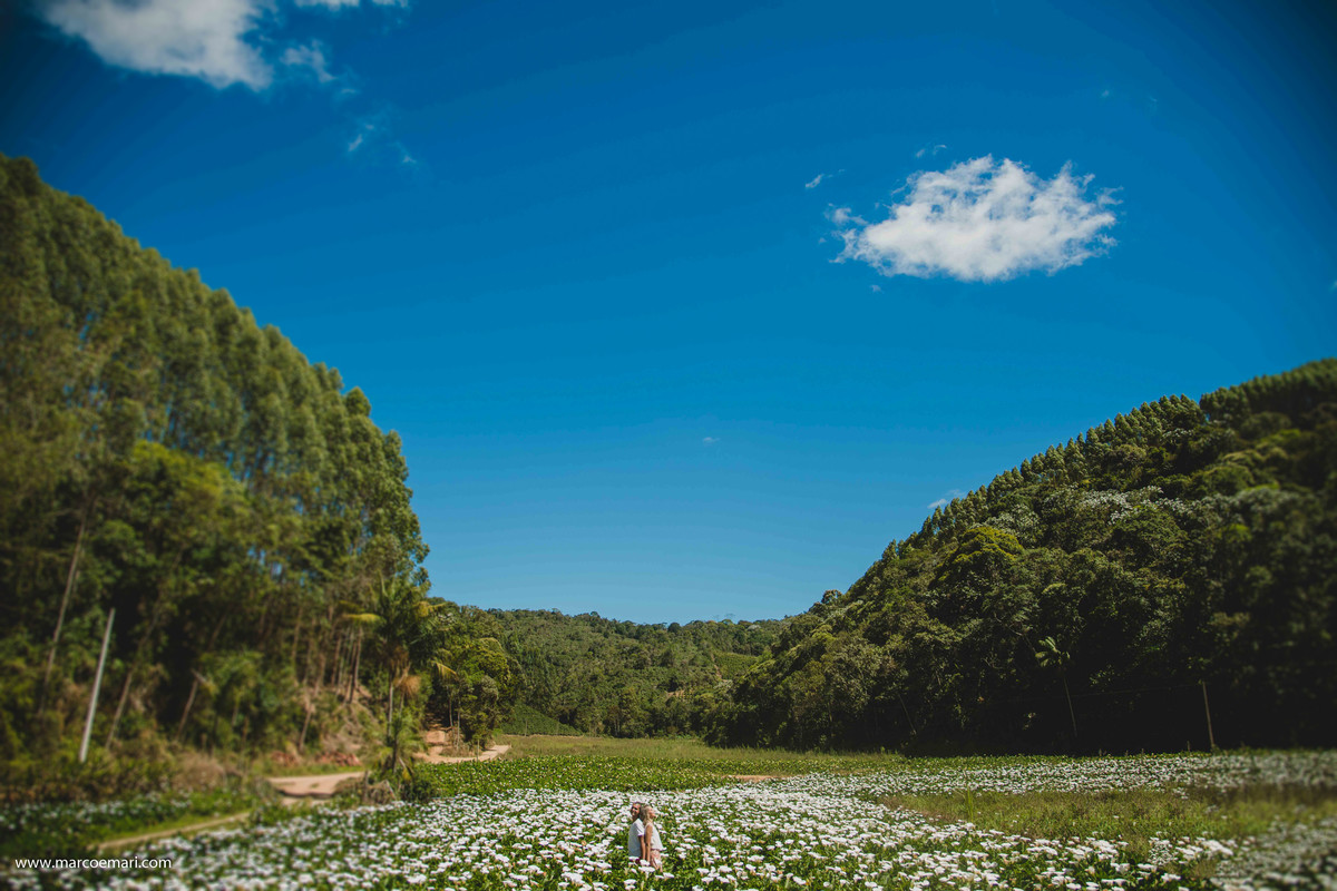 pre casamento, e session, save the date, flores, pedra azul, ensaio romantico, fotografo do espírito santo, fotografia de casamento,  campo de flores,