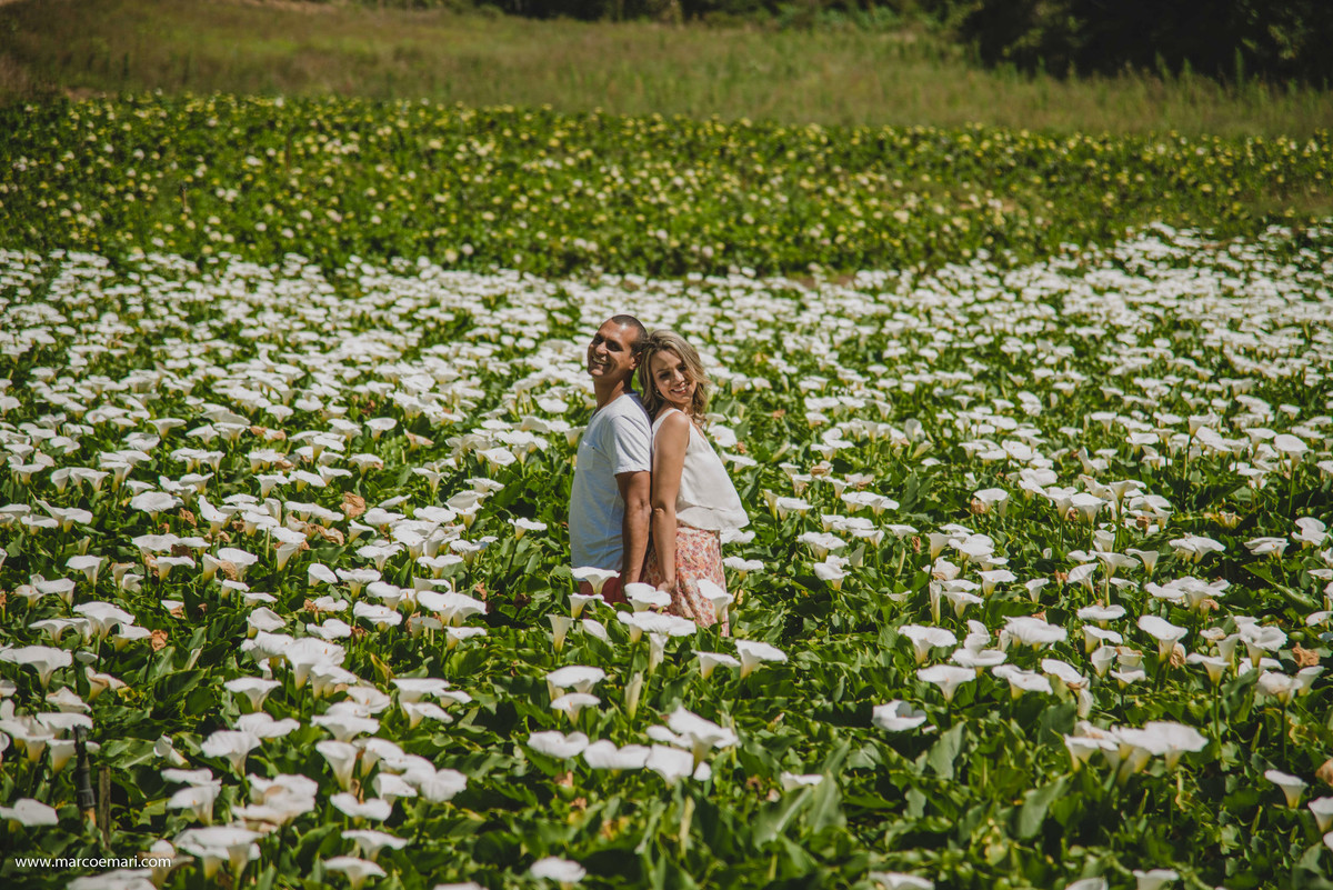 pre casamento, e session, save the date, flores, pedra azul, ensaio romantico, fotografo do espírito santo, fotografia de casamento,  campo de flores,
