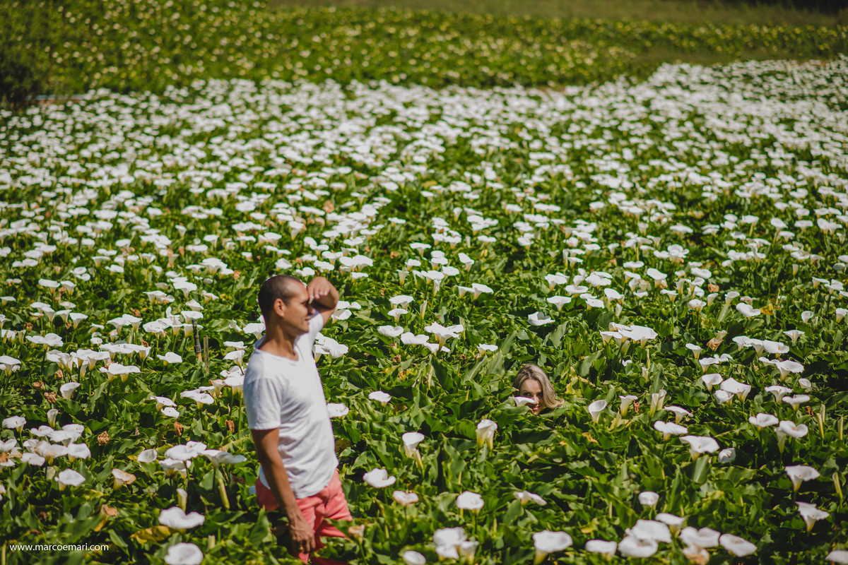 pre casamento, e session, save the date, flores, pedra azul, ensaio romantico, fotografo do espírito santo, fotografia de casamento,  campo de flores,