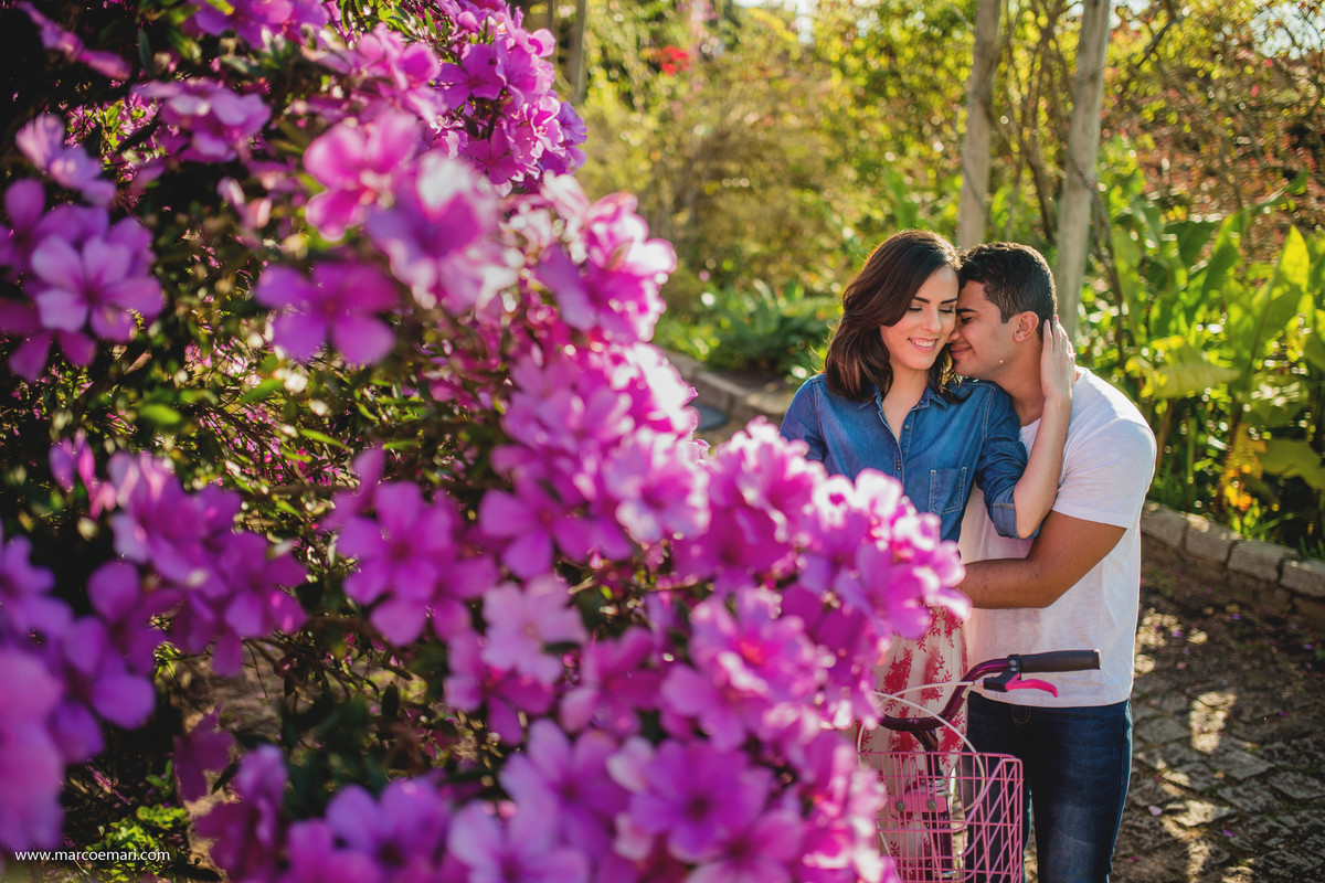 pre casamento, e session, save the date, flores, pedra azul, ensaio romantico, fotografo do espírito santo, fotografia de casamento,  campo de flores,
