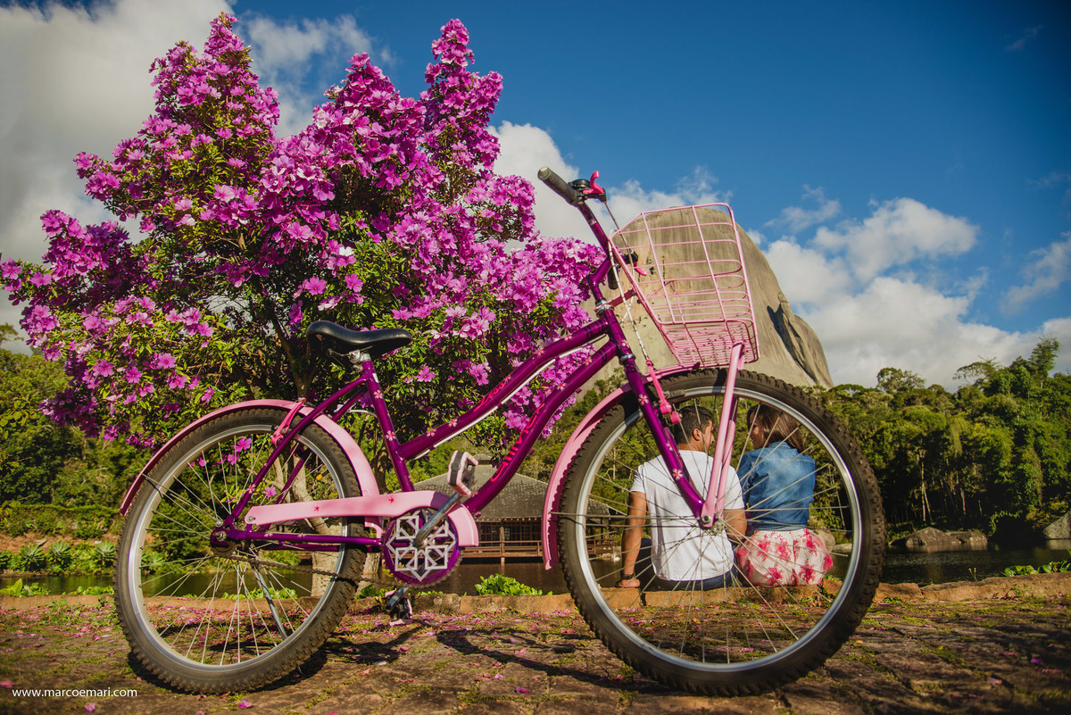 pre casamento, e session, save the date, flores, pedra azul, ensaio romantico, fotografo do espírito santo, fotografia de casamento,  campo de flores,