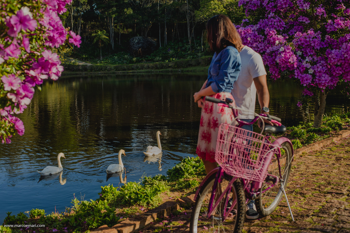 pre casamento, e session, save the date, flores, pedra azul, ensaio romantico, fotografo do espírito santo, fotografia de casamento,  campo de flores,