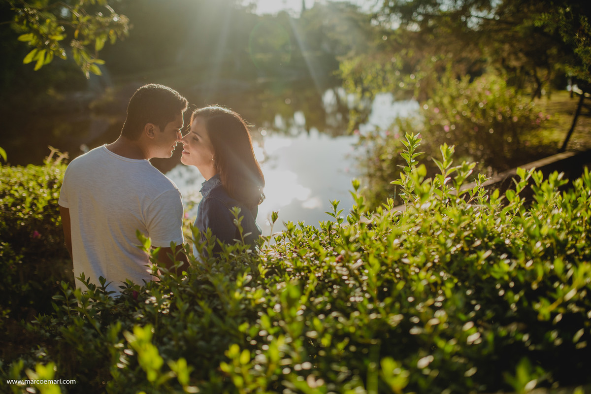 pre casamento, e session, save the date, flores, pedra azul, ensaio romantico, fotografo do espírito santo, fotografia de casamento,  campo de flores,