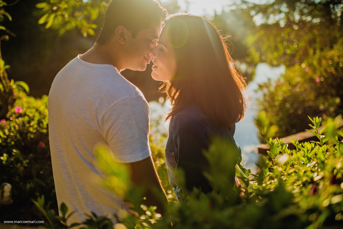 pre casamento, e session, save the date, flores, pedra azul, ensaio romantico, fotografo do espírito santo, fotografia de casamento,  campo de flores,