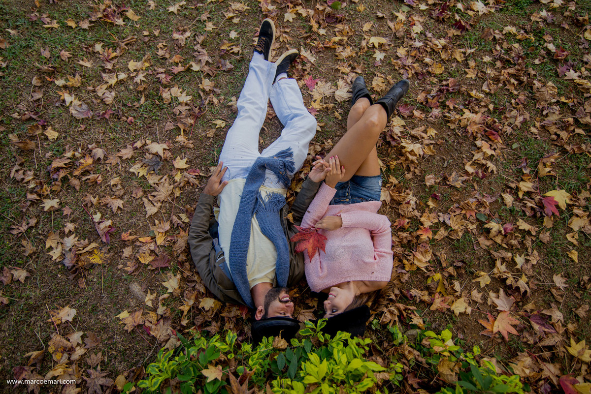 pre casamento, e session, save the date, pedra azul, ensaio romantico, fotografo do espírito santo, fotografia de casamento, folhas secas, outono, por do sol