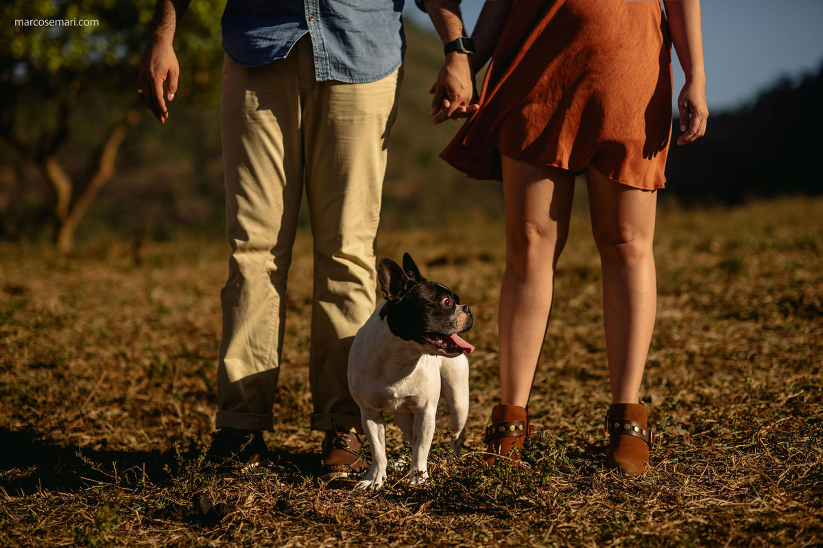 esession; ensaio pre casamento; bulldog francês; marcosemarifotografias; wedding; bride; noivos; noiva; ensaio externo, animal de estimação; casal estiloso, lifestyle; blog casando no es; blog de casamento; blog detalhes que inspiram; 