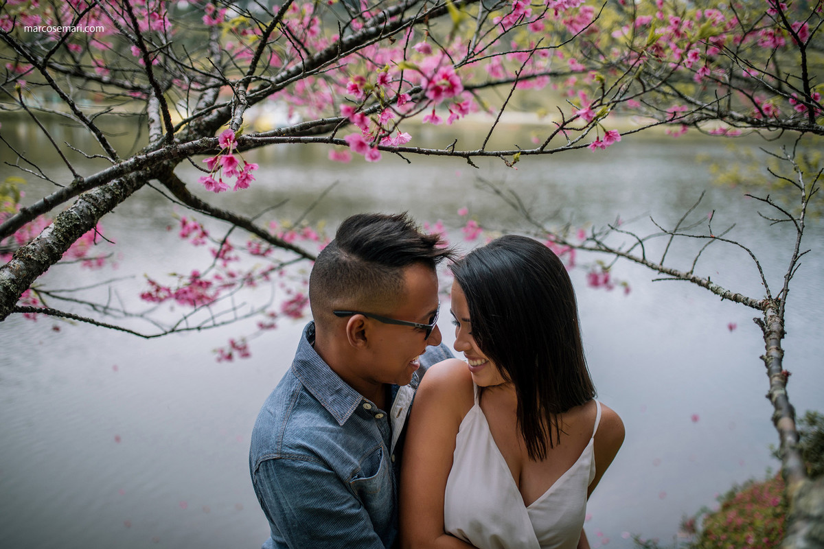 cerejeiras-ensaio-pre-wedding-adna-betinho-pedra-azul-es-fotos-no-campodeflores-es-noivas-casamentos-es-fotografos-marcos-e-mari-fotografias