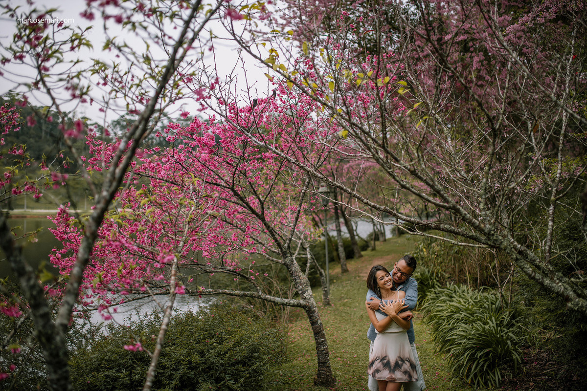 cerejeiras-ensaio-pre-wedding-adna-betinho-pedra-azul-es-fotos-no-campodeflores-es-noivas-casamentos-es-fotografos-marcos-e-mari-fotografias