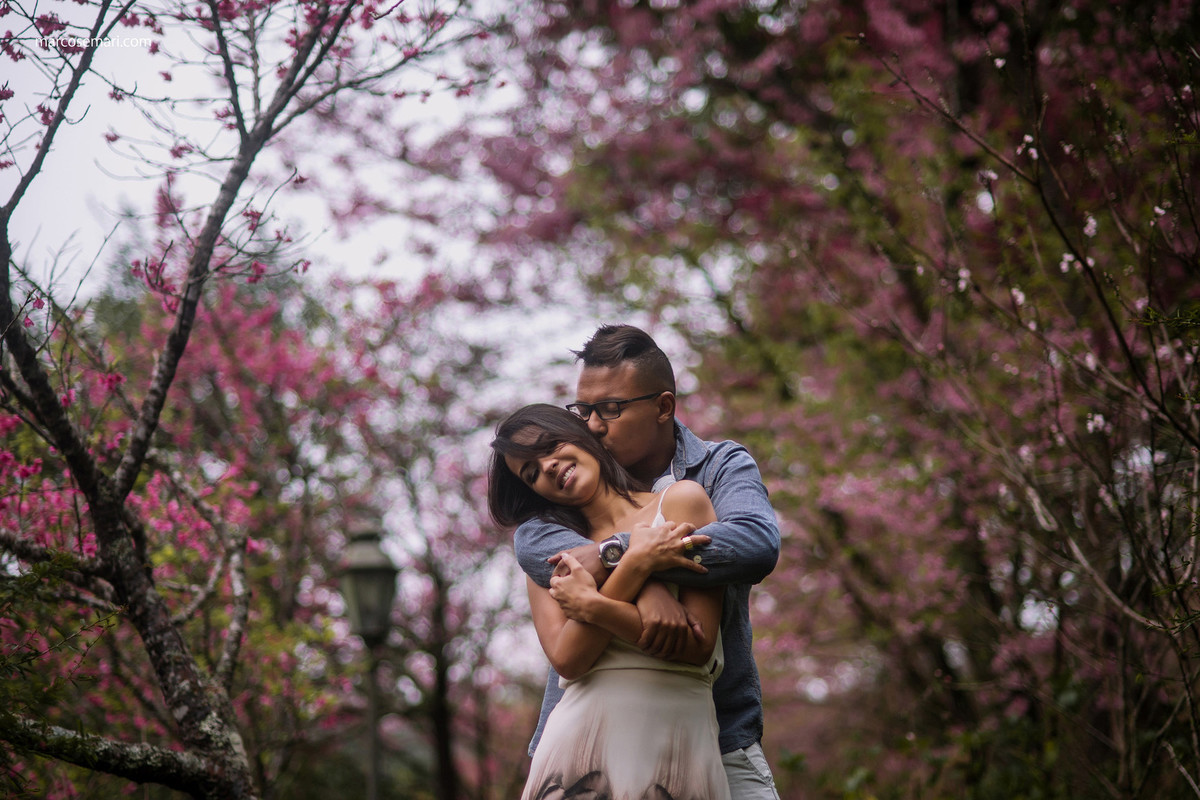 cerejeiras-ensaio-pre-wedding-adna-betinho-pedra-azul-es-fotos-no-campodeflores-es-noivas-casamentos-es-fotografos-marcos-e-mari-fotografias
