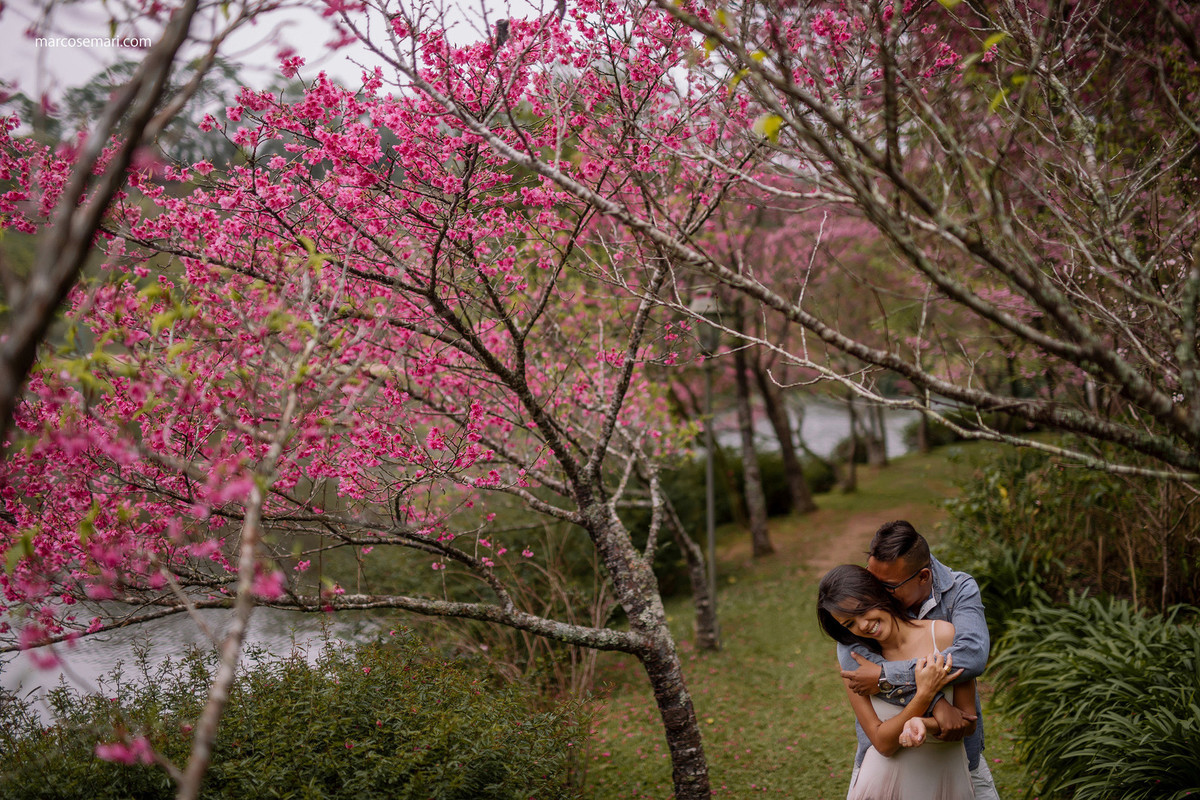 cerejeiras-ensaio-pre-wedding-adna-betinho-pedra-azul-es-fotos-no-campodeflores-es-noivas-casamentos-es-fotografos-marcos-e-mari-fotografias