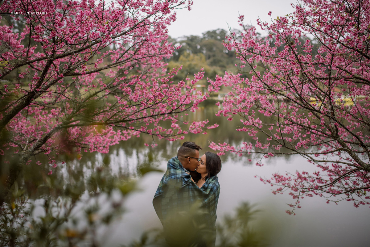 cerejeiras-ensaio-pre-wedding-adna-betinho-pedra-azul-es-fotos-no-campodeflores-es-noivas-casamentos-es-fotografos-marcos-e-mari-fotografias