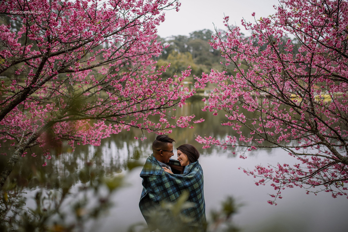 cerejeiras-ensaio-pre-wedding-adna-betinho-pedra-azul-es-fotos-no-campodeflores-es-noivas-casamentos-es-fotografos-marcos-e-mari-fotografias