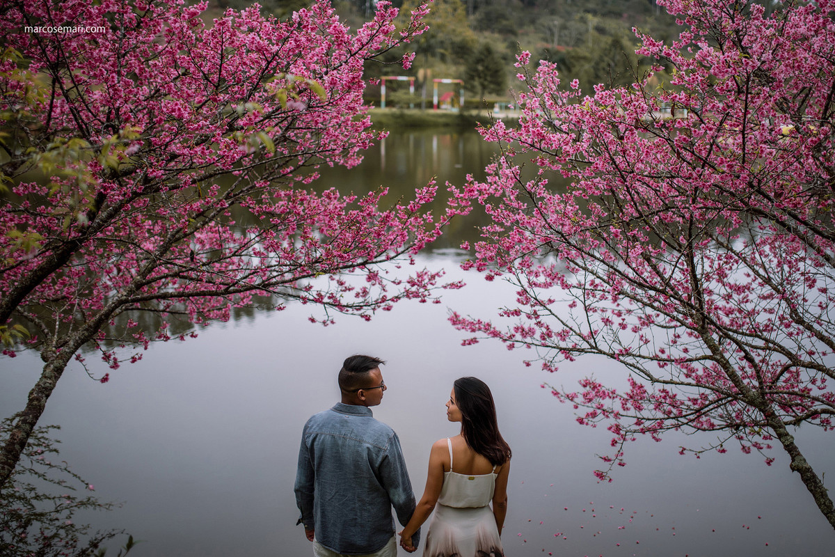 cerejeiras-ensaio-pre-wedding-adna-betinho-pedra-azul-es-fotos-no-campodeflores-es-noivas-casamentos-es-fotografos-marcos-e-mari-fotografias