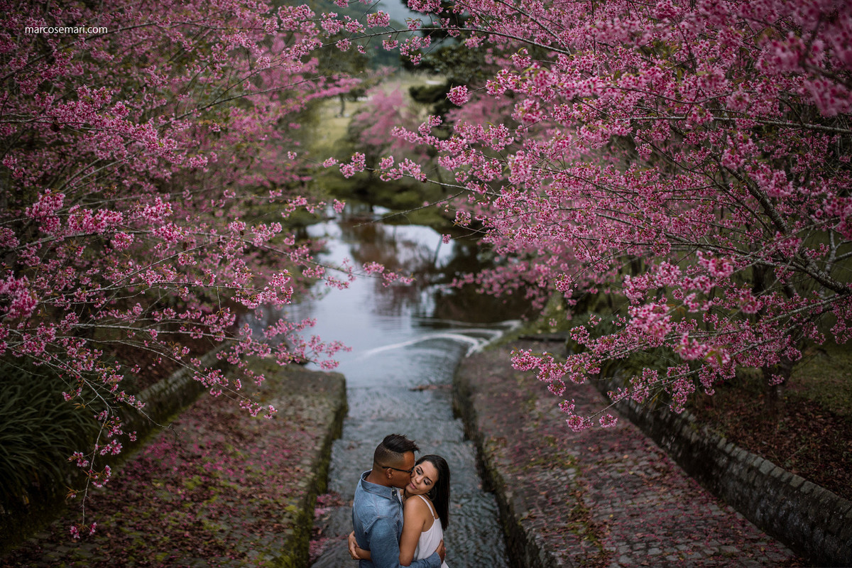 cerejeiras-ensaio-pre-wedding-adna-betinho-pedra-azul-es-fotos-no-campodeflores-es-noivas-casamentos-es-fotografos-marcos-e-mari-fotografias