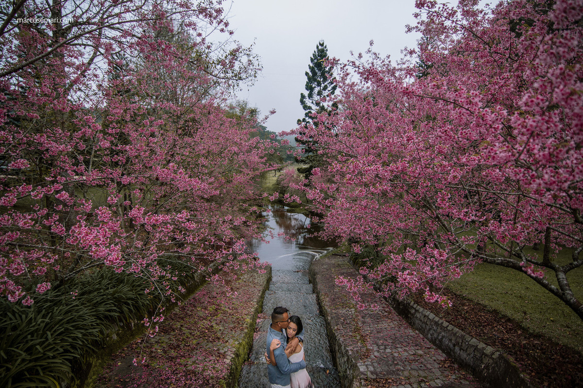 cerejeiras-ensaio-pre-wedding-adna-betinho-pedra-azul-es-fotos-no-campodeflores-es-noivas-casamentos-es-fotografos-marcos-e-mari-fotografias