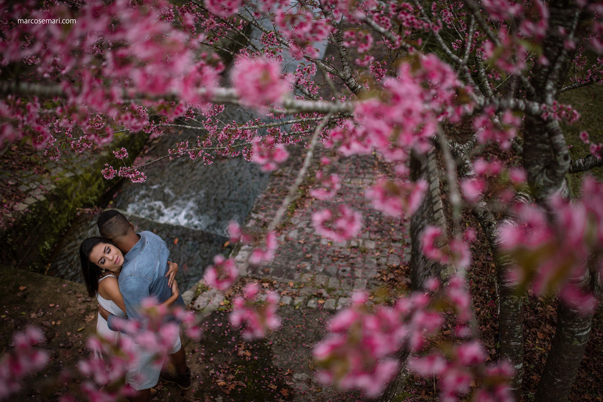 cerejeiras-ensaio-pre-wedding-adna-betinho-pedra-azul-es-fotos-no-campodeflores-es-noivas-casamentos-es-fotografos-marcos-e-mari-fotografias