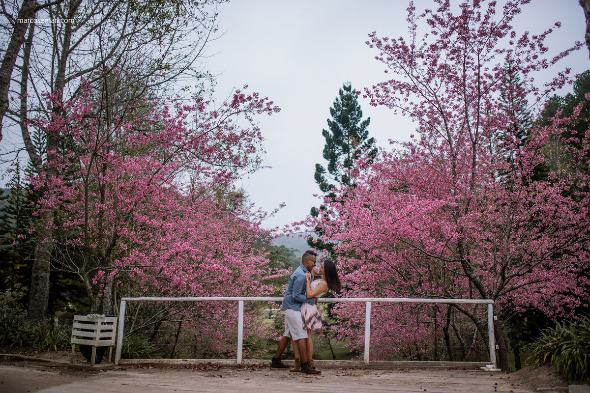 cerejeiras-ensaio-pre-wedding-adna-betinho-pedra-azul-es-fotos-no-campodeflores-es-noivas-casamentos-es-fotografos-marcos-e-mari-fotografias