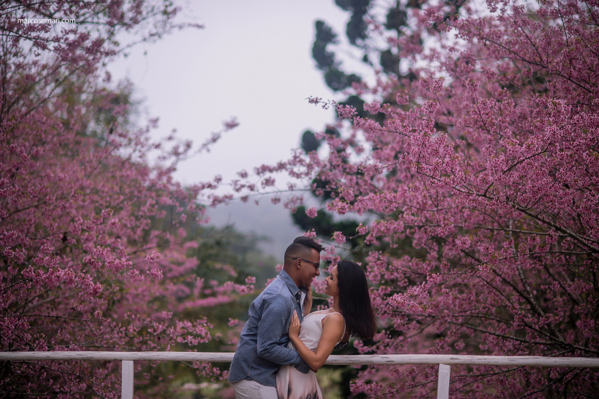 cerejeiras-ensaio-pre-wedding-adna-betinho-pedra-azul-es-fotos-no-campodeflores-es-noivas-casamentos-es-fotografos-marcos-e-mari-fotografias
