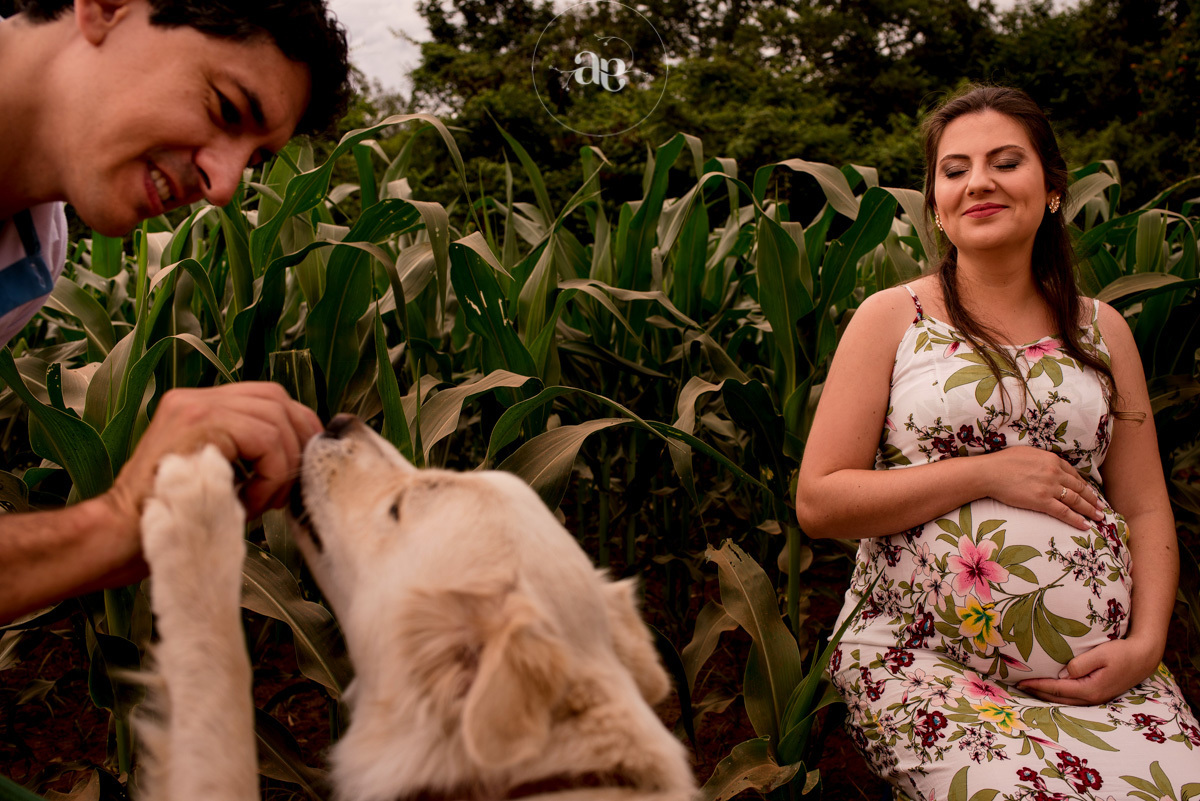 fotos no interior de rolante rs