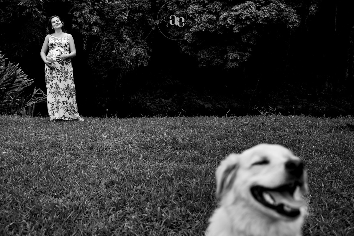 fotos de gravida com o pet