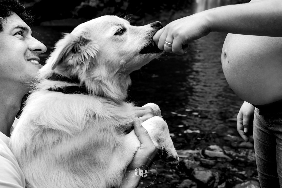 fotos com pet na cachoeira