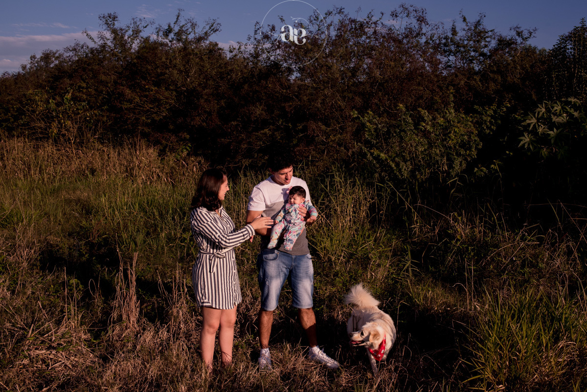 acompanhamento do bebe