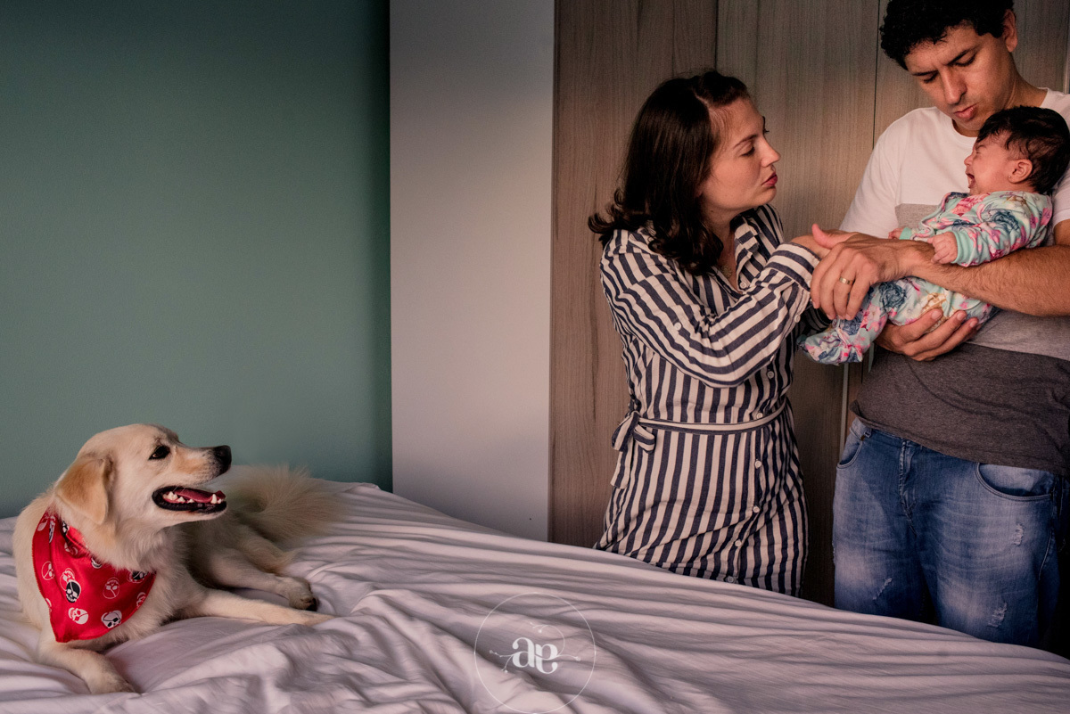 fotos do primeiro ano do bebe