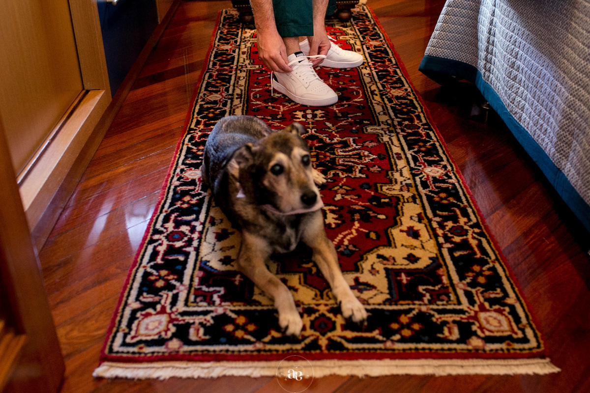 fotografias dos noivos