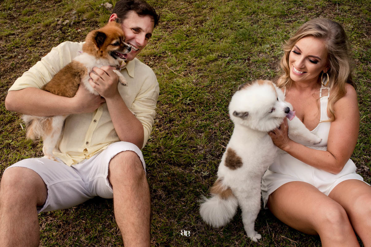 sessao de fotos pets