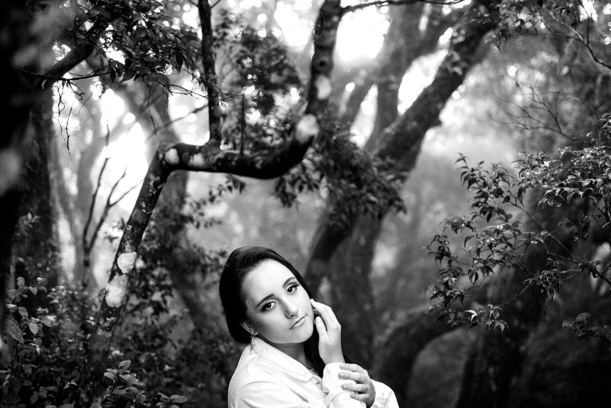 fotografa de aniversário