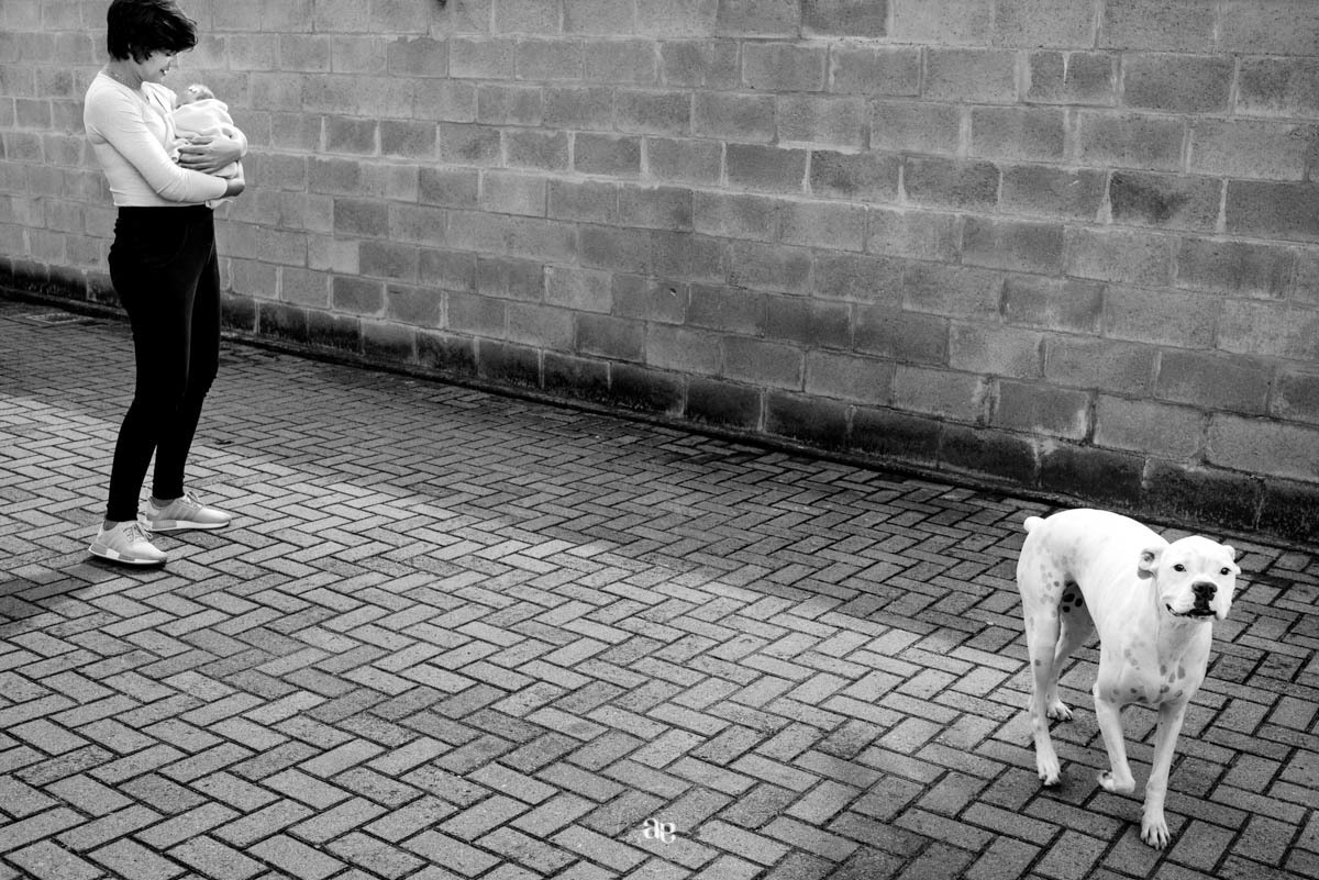 bebes que nascem na quarentena