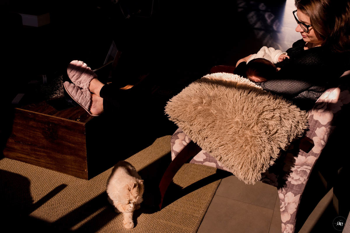 fotografia rolante rs