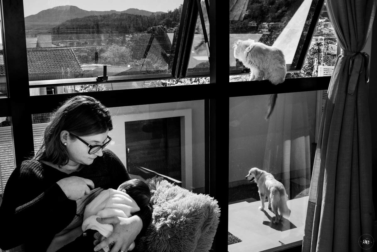 fotos de criança com pets