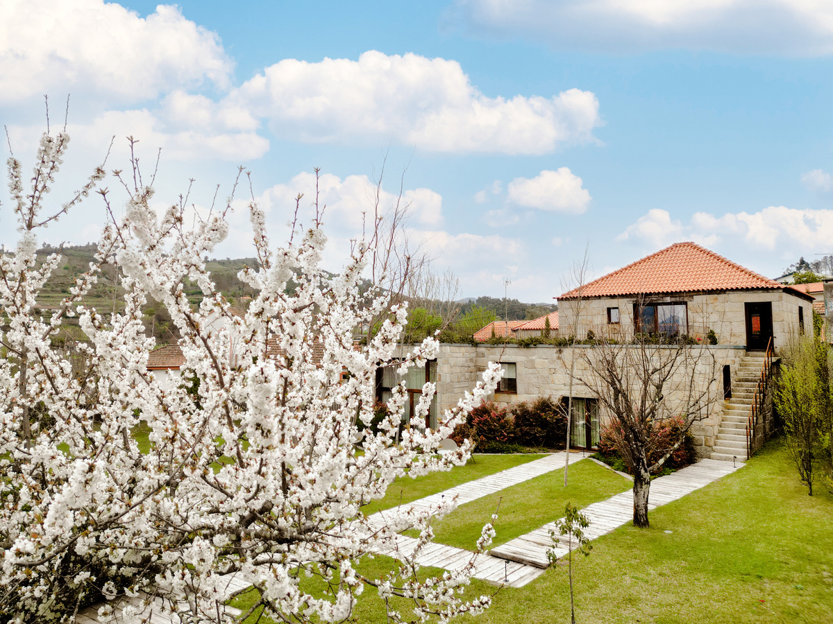 Creative Architectural Photography: Discover visually striking images that highlight the architectural beauty, unique design elements, and visual storytelling of each hotel.