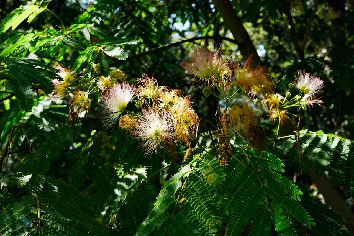 amento porto- fotografo - quinta pauliana - wedding photographer - filipe santos- espontaneos
