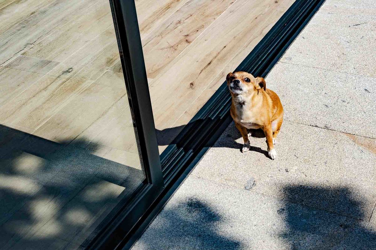 amento porto- fotografo - quinta pauliana - wedding photographer - filipe santos- espontaneos