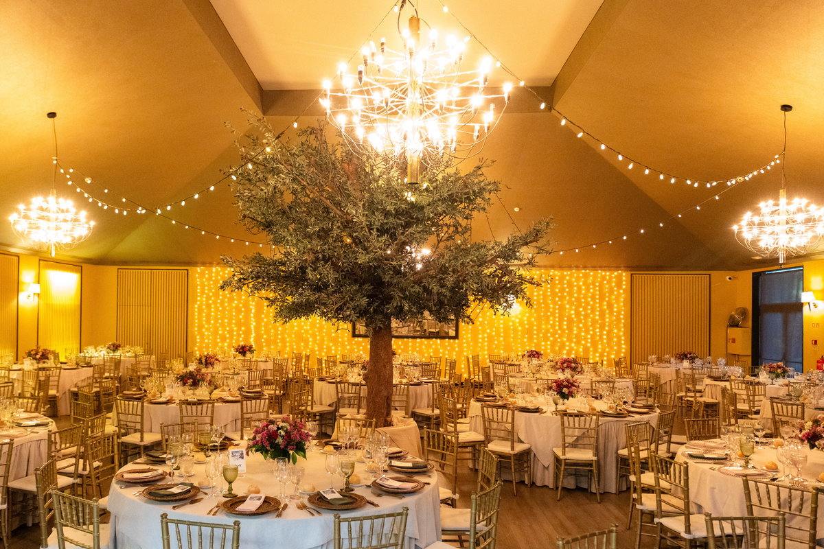 filipesantosfotografia