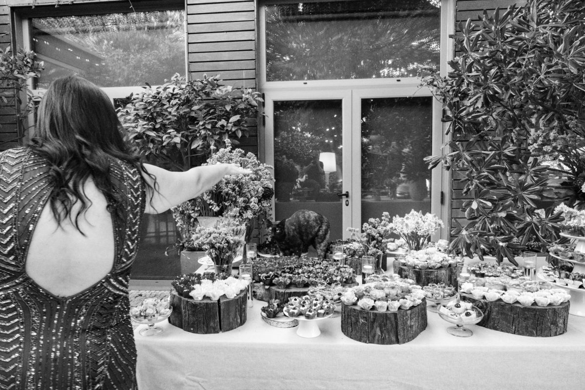 filipesantosfotografia