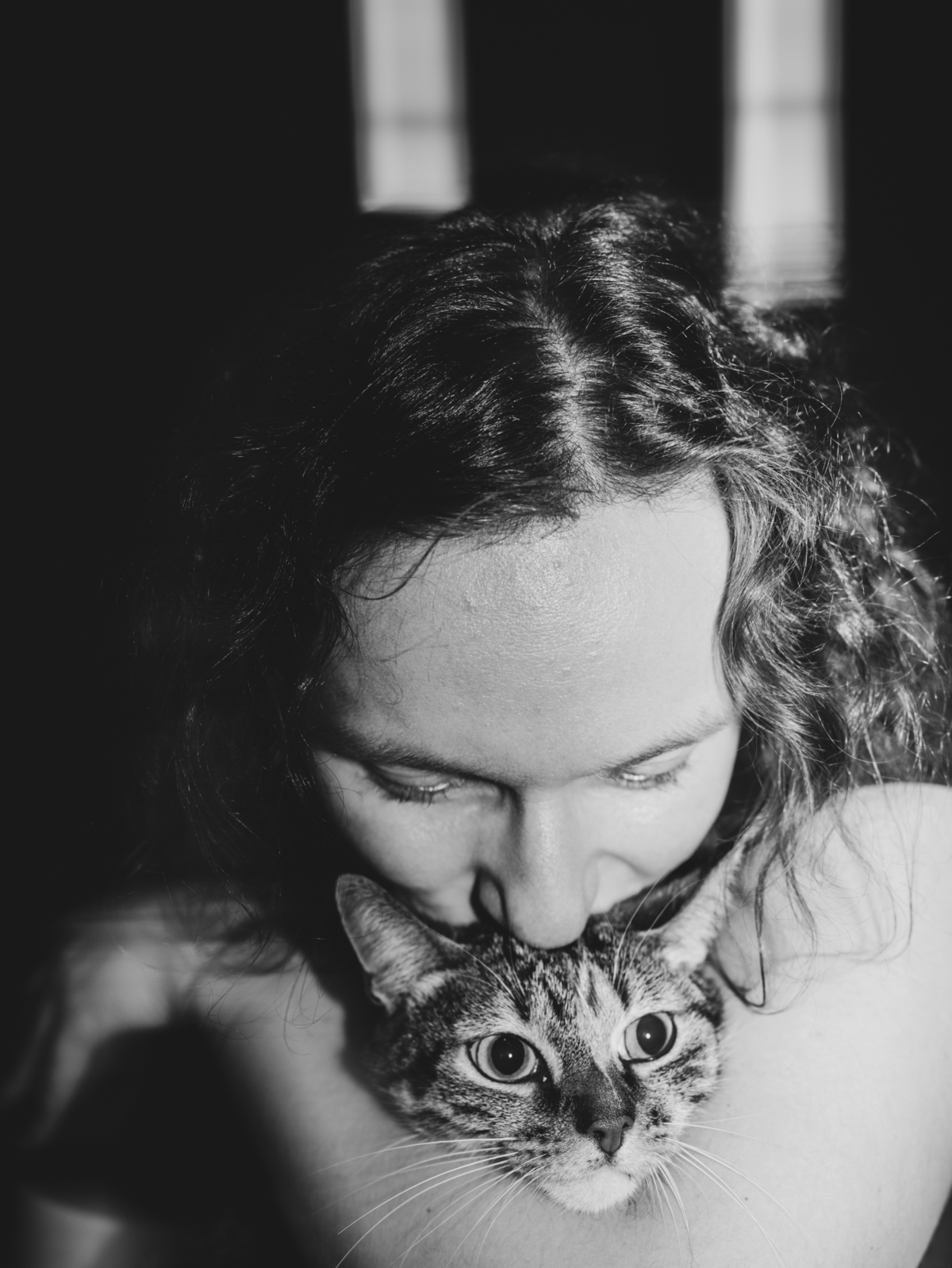 filipesantosfotografia, photoshoot, couplephotos, studiophotoshoot, animalphotoshoot, cat photos, fotografo, porto, fotografia de animais e de casais