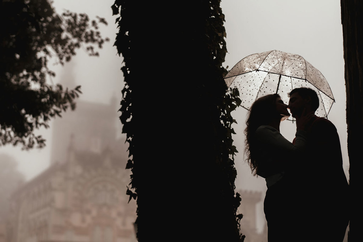 Bussaco Palace Hotel Buçaco