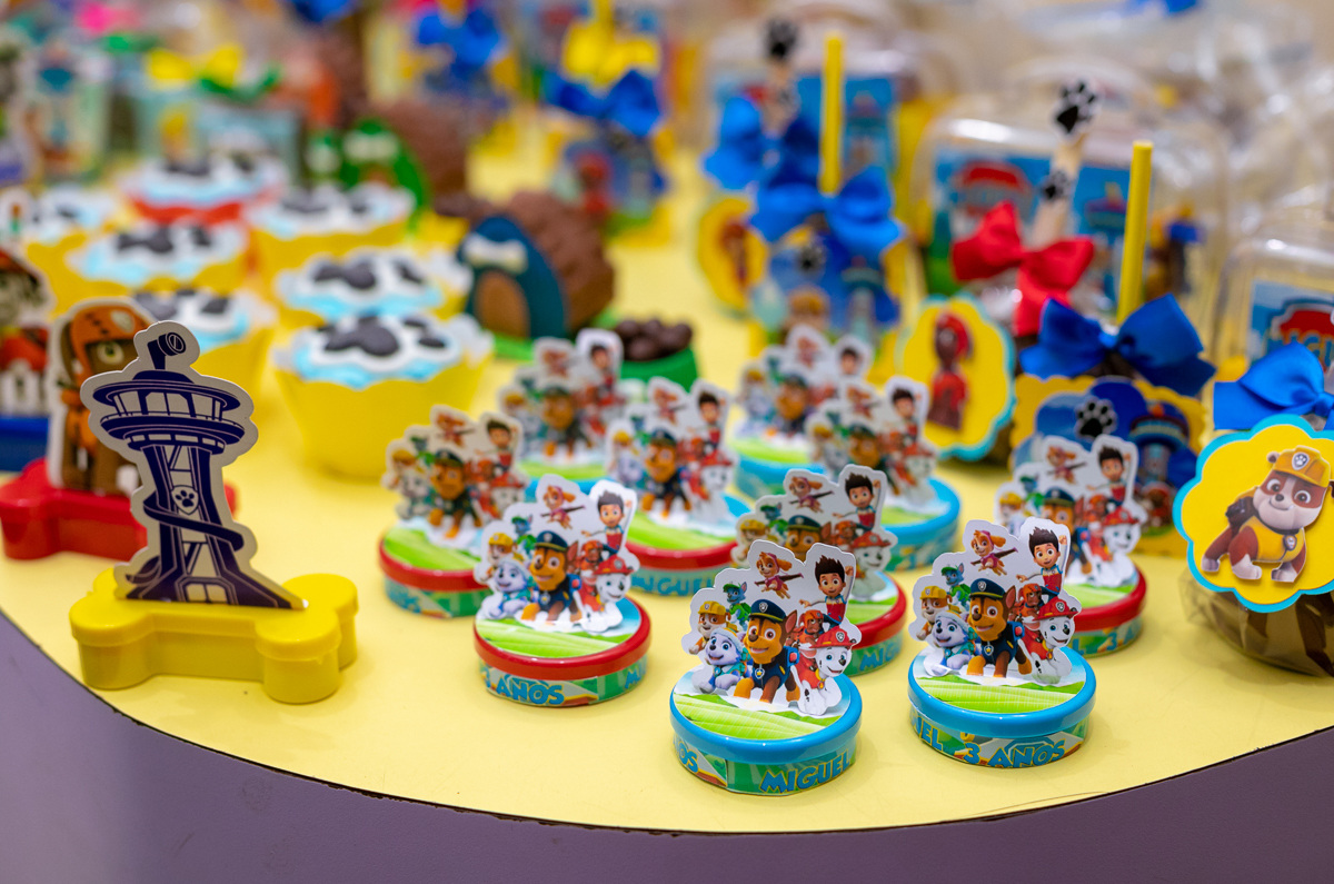 decoração patrulha canina-aniversários-infantis-rj/salão de salão clima de festa-vila da penha