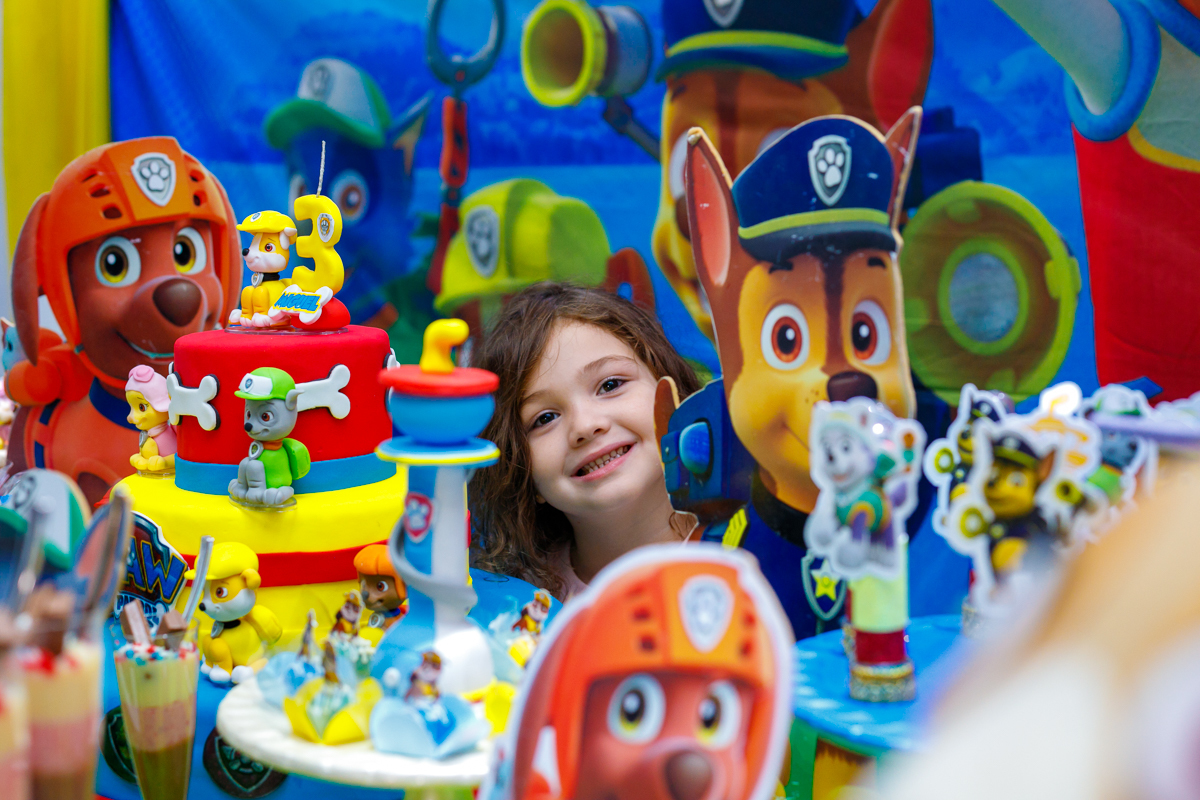 decoração patrulha canina-rj-salão clima de festa-rj