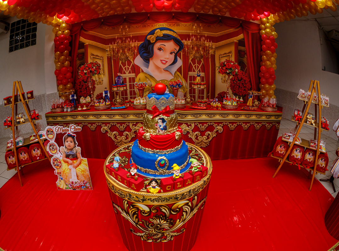 decoração 3D-Castelo Casa de Festas e Eventos - Vila da Penha - RJ-fotógrafo-festas infantis-aniversário 1 ano