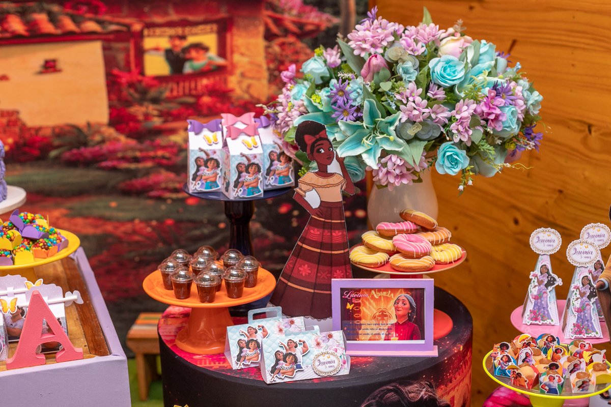 decoração-Encanto da Disney-festa infantil-casa alegria de viver-taquara-rj