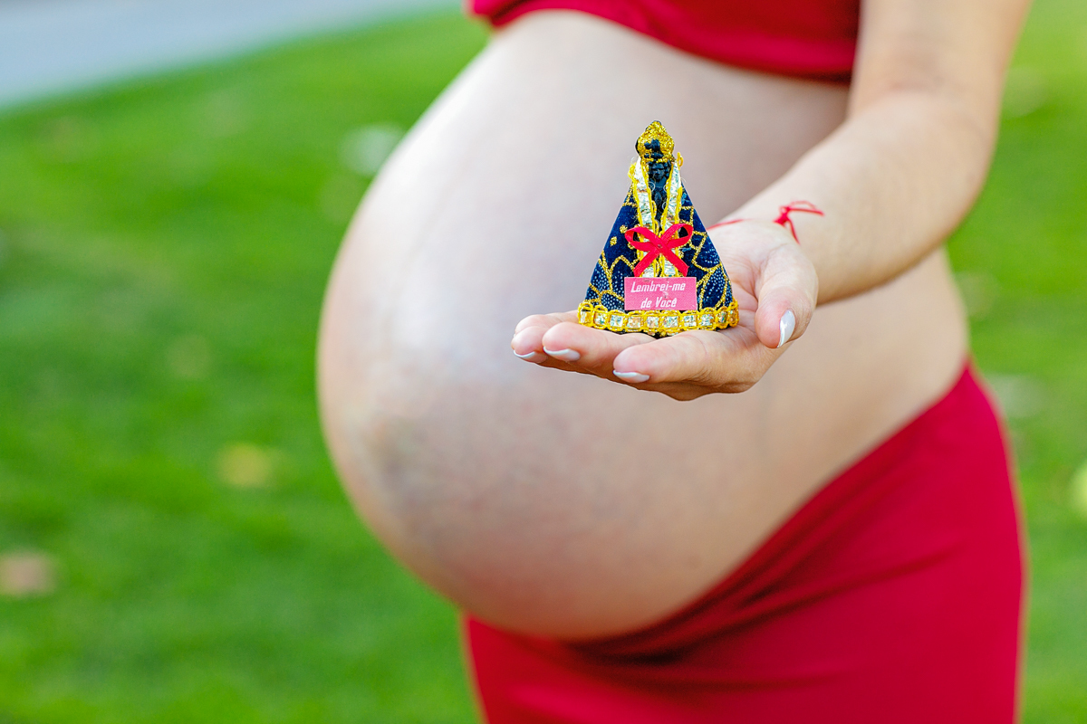 devoção nossa senhora-gravidez gemelar-book fotográfico externo-rj