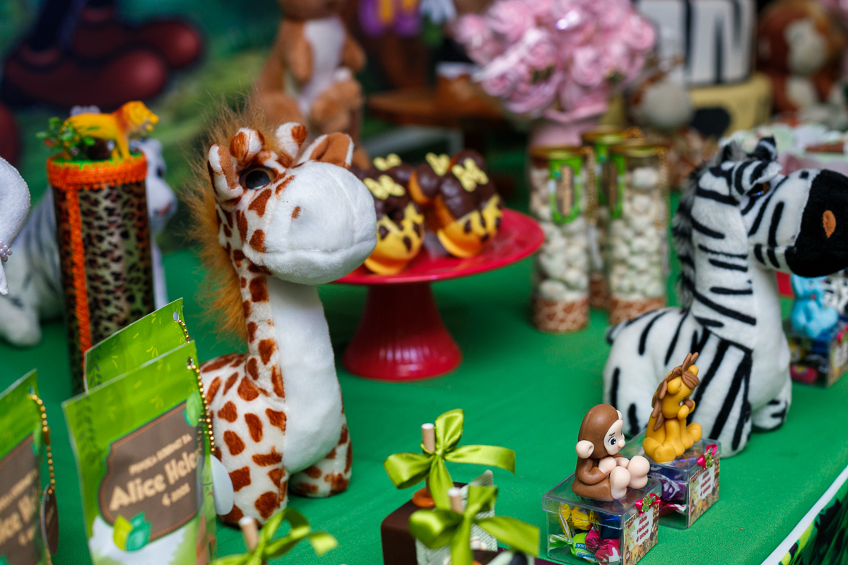 decoração tema mickey safari-festa tema menina-Espaço dos Sonhos - Vila Valqueire - RJ