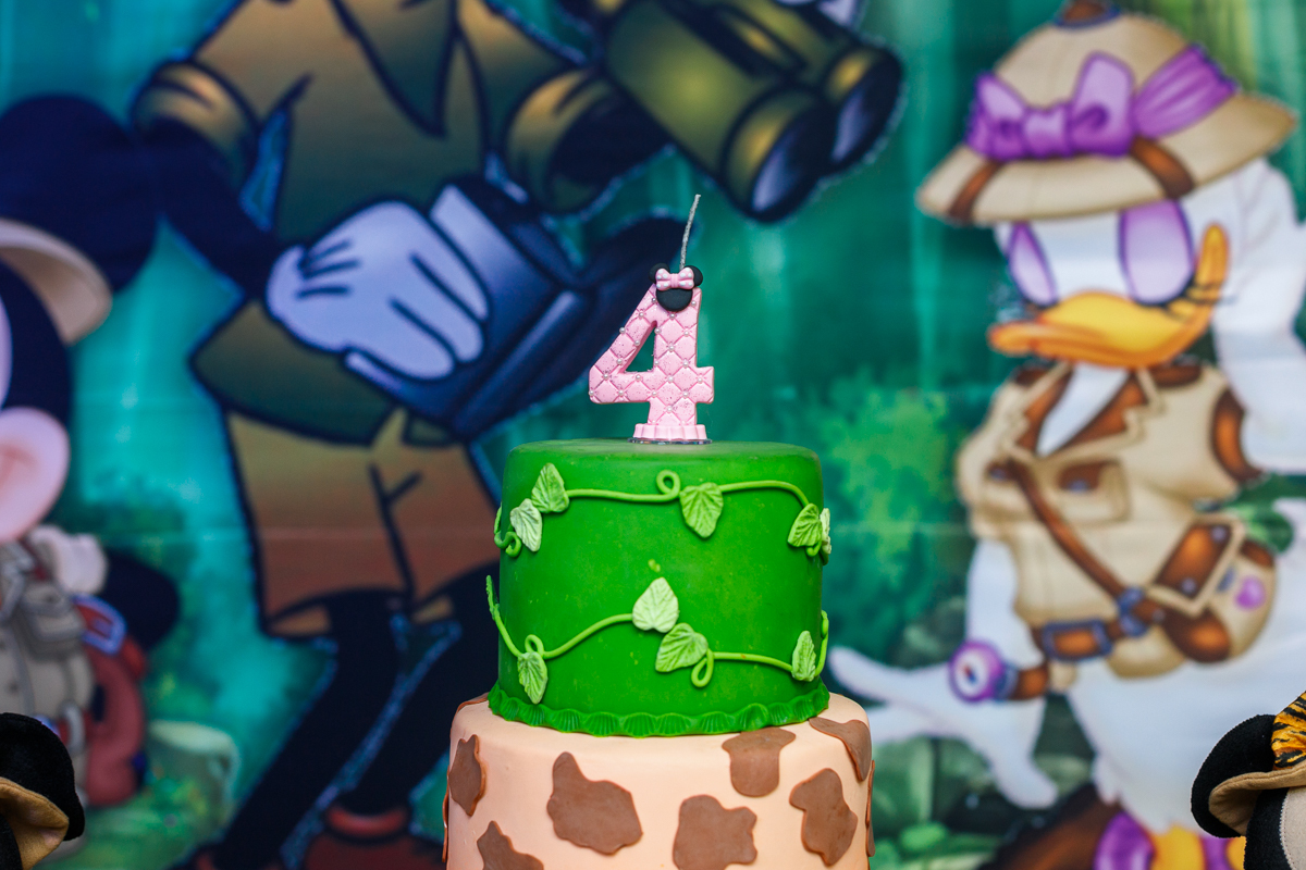 piscina de bolinhas-espaço dos sonhos- festa tematica-mickey safari