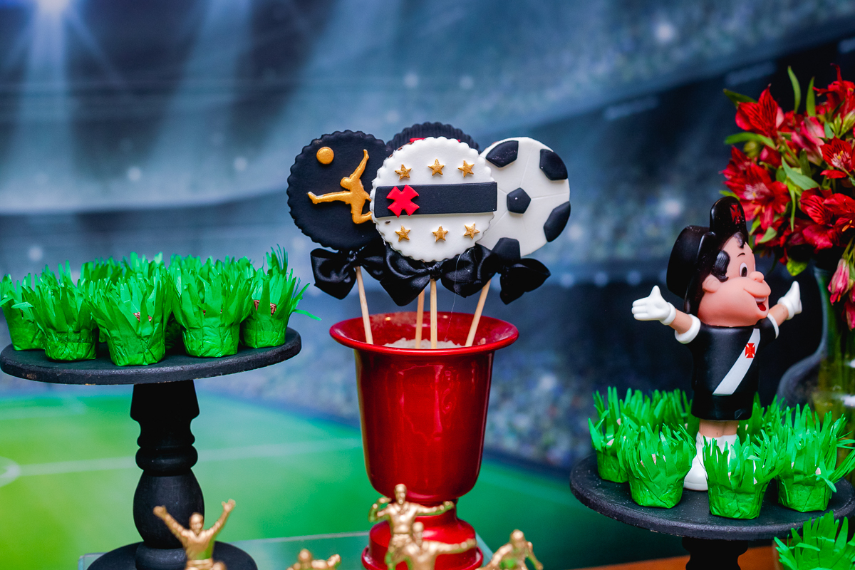 quintal festa- festa infantil temática menino-vasco da gama